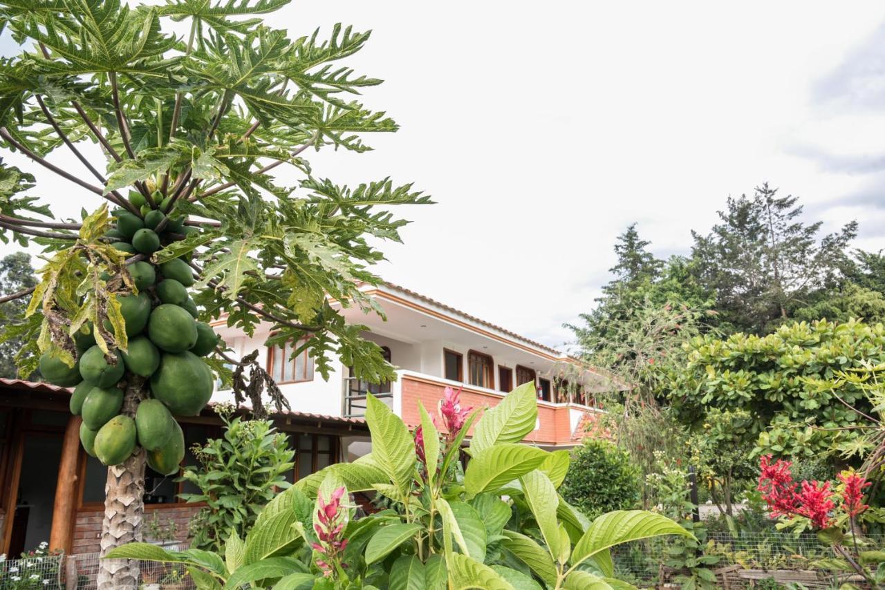 Hotel Garden House à Vilcabamba Extérieur photo