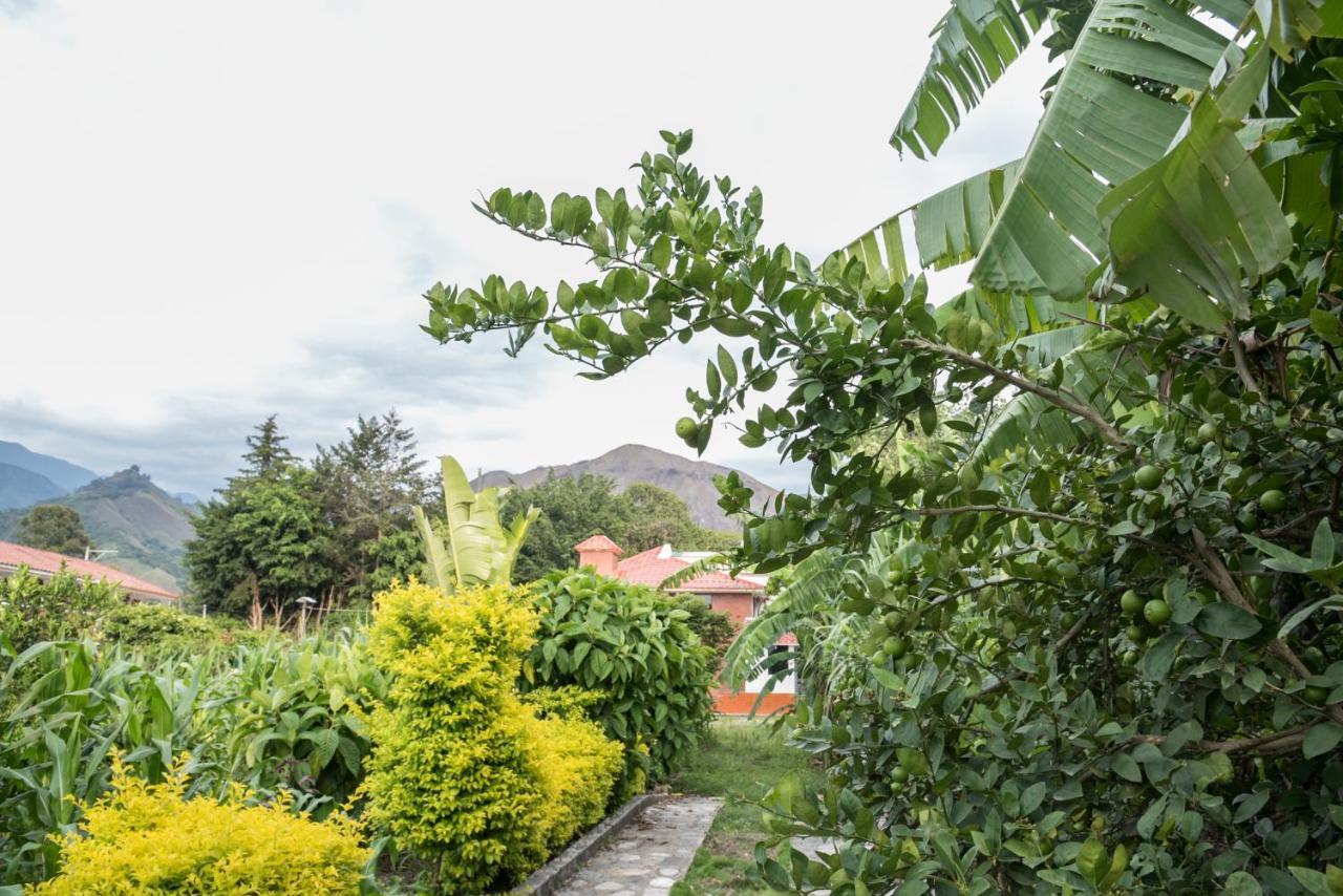 Hotel Garden House à Vilcabamba Extérieur photo